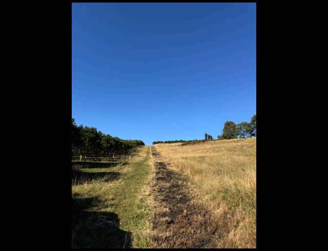 165HA FARM FOR SALE IN RICHMOND RURAL